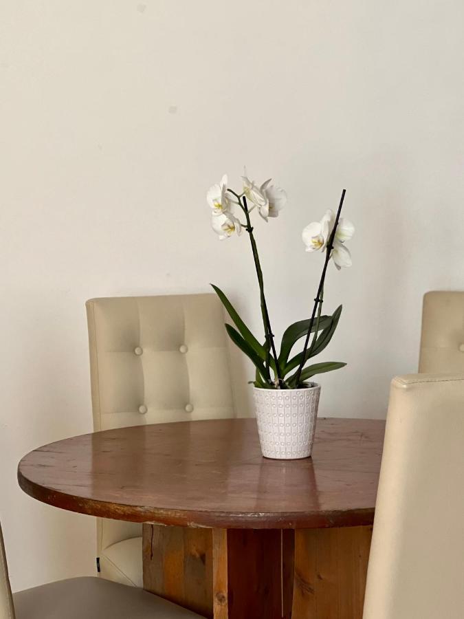 Novi Ligure Private Apartment Exteriér fotografie